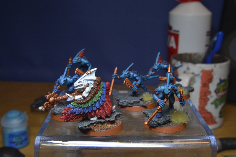 Skinks (3).JPG