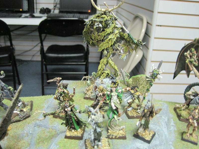 Lets Chat Wanderers / Wood Elves compendium Page 36 Order The Grand Alliance Community